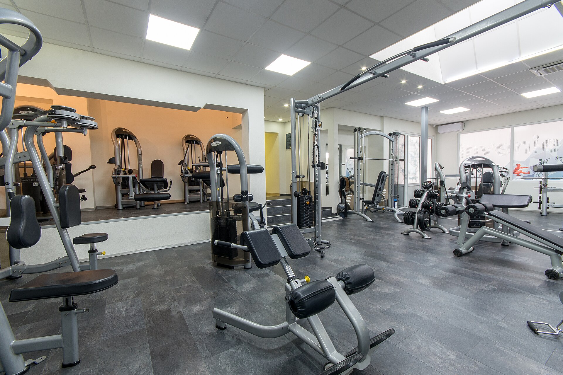 Sala de pesas con barras y bancos. Es un gimnasio de archivo, no el consultorio.